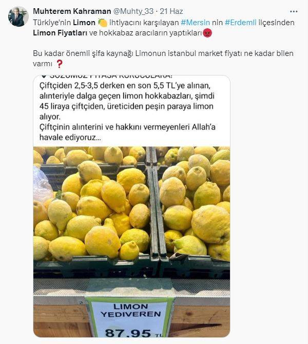 Limonun değil fiyatının suyu çıktı! Limonu durdurabilene aşk olsun - Resim: 27
